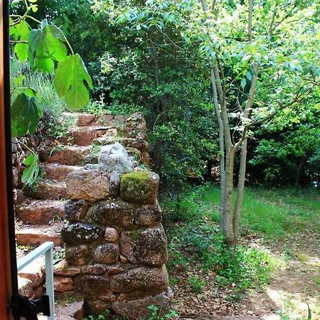 Belle Et Grande Maison Ardechoise Payzac  Dış mekan fotoğraf