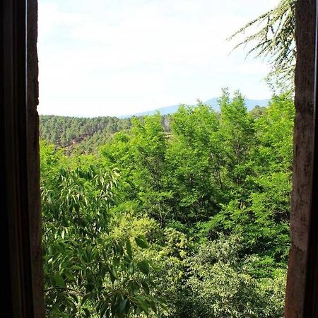 Belle Et Grande Maison Ardechoise Payzac  Dış mekan fotoğraf