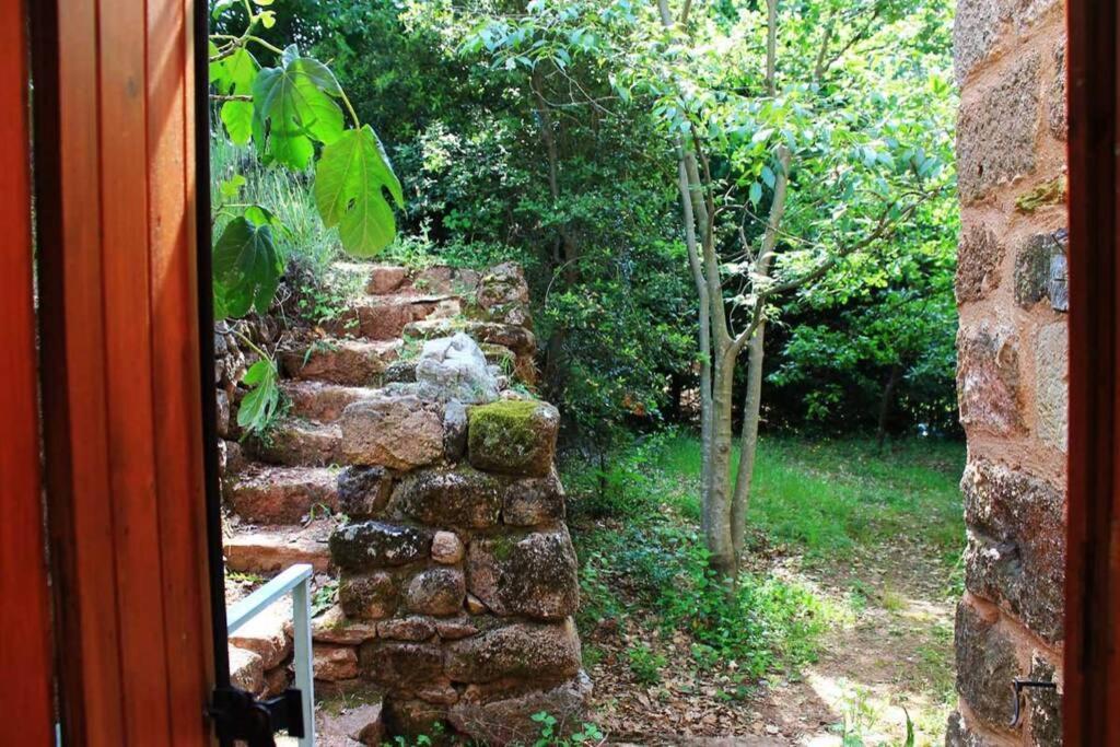Belle Et Grande Maison Ardechoise Payzac  Dış mekan fotoğraf